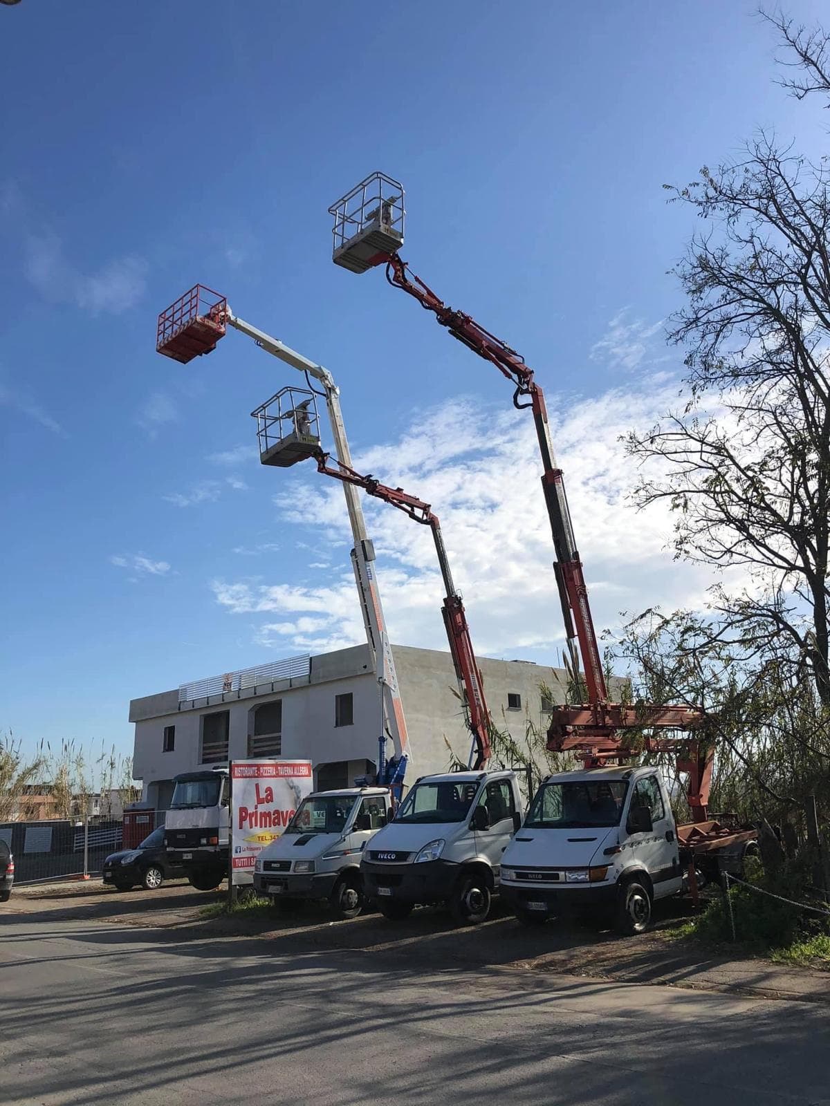 About La Vetta Srls 22